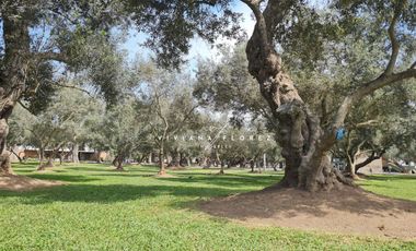El Olivar, San Isidro, 4 dormitorios, con línea blanca