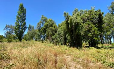 Parcela 5000 mts2 arboles nativos