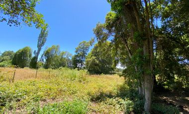 Parcela 5000 mts2 arboles nativos
