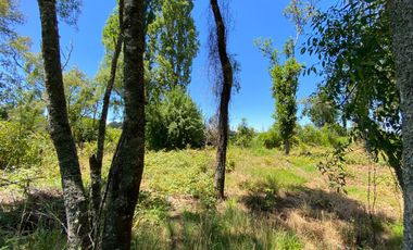 Parcela 5000 mts2 arboles nativos