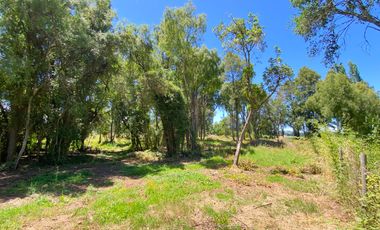 Parcela 5000 mts2 arboles nativos