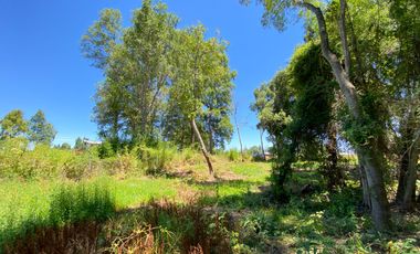 Parcela 5000 mts2 arboles nativos