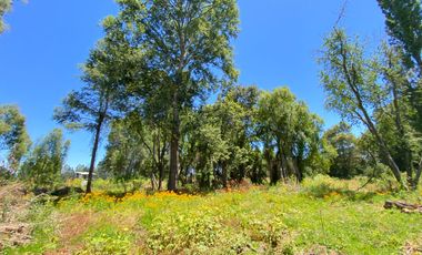 Parcela 5000 mts2 arboles nativos