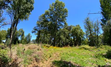 Parcela 5000 mts2 arboles nativos