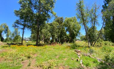 Parcela 5000 mts2 arboles nativos