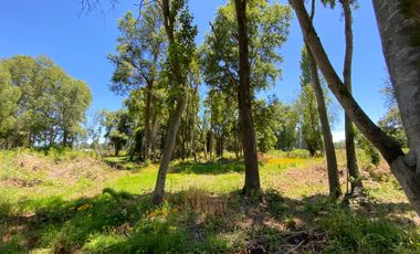 Parcela 5000 mts2 arboles nativos