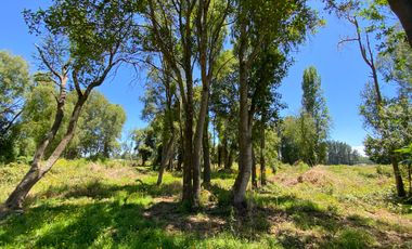 Parcela 5000 mts2 arboles nativos