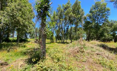 Parcela 5000 mts2 arboles nativos