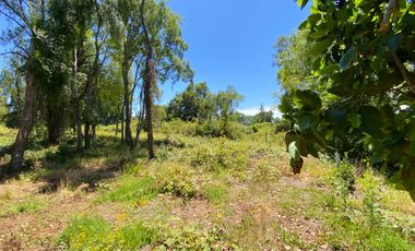 Parcela 5000 mts2 arboles nativos