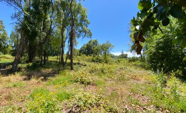 Parcela 5000 mts2 arboles nativos