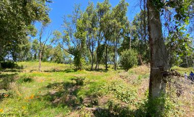 Parcela 5000 mts2 arboles nativos