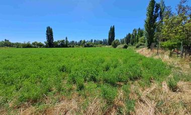 🏡 ¡OPORTUNIDAD! Hermosa Parcela de 7.400 m² con Casa y Derechos de Agua