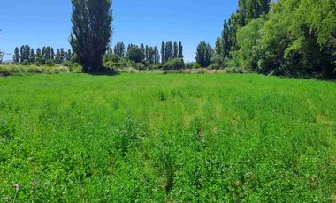 🏡 ¡OPORTUNIDAD! Hermosa Parcela de 7.400 m² con Casa y Derechos de Agua