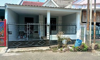 Sewa Rumah Siap huni dan nyaman daerah Plamongan Indah - 11388