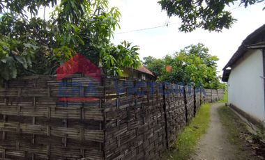 Rumah + Tanah Lokasi Strategis Dekat Jalan Raya Jepun Tulungagung