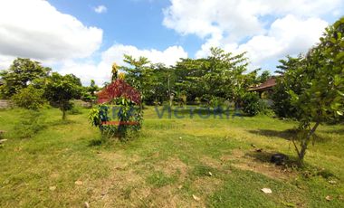 Rumah + Tanah Lokasi Strategis Dekat Jalan Raya Jepun Tulungagung