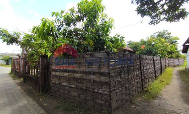 Rumah + Tanah Lokasi Strategis Dekat Jalan Raya Jepun Tulungagung