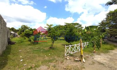 Rumah + Tanah Lokasi Strategis Dekat Jalan Raya Jepun Tulungagung