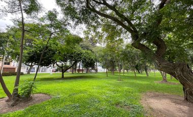 Vista a Parque Desde Todos Sus Amplios Ambientes, 3 Dorm. Todos con Baño y con 3 Cocheras Paralelas