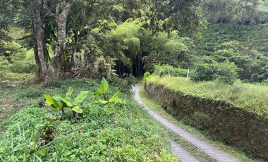 Lote rural en venta en Circasia, Quindío – Excelente oportunidad de inversión 🌿
