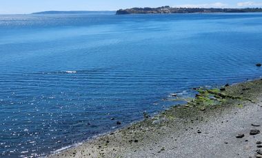 Parcela con vista al mar y acceso a playa en Quenac, Chiloé