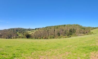 Venta de hermoso campo de 15 hectáreas, Teodoro Schmidt.