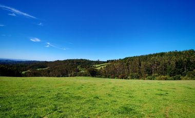 Venta de hermoso campo de 15 hectáreas, Teodoro Schmidt.