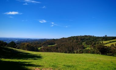 Venta de hermoso campo de 15 hectáreas, Teodoro Schmidt.
