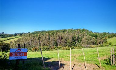 Venta de hermoso campo de 15 hectáreas, Teodoro Schmidt.