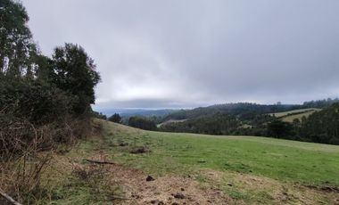 Venta de hermoso campo de 15 hectáreas, Teodoro Schmidt.