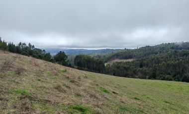 Venta de hermoso campo de 15 hectáreas, Teodoro Schmidt.