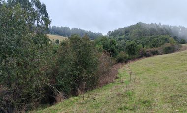 Venta de hermoso campo de 15 hectáreas, Teodoro Schmidt.