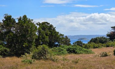 Parcela con vista al mar en Quenac, Chiloé - Laguna Quenac