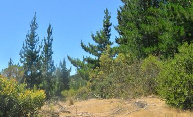 Parcela con rol propio a 50 min de Cauquenes, El Maule