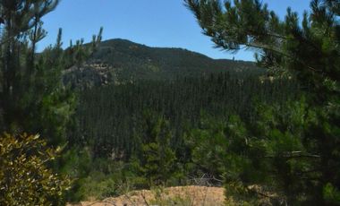 Parcela con rol propio a 50 min de Cauquenes, El Maule