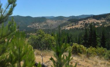 Parcela con rol propio a 50 min de Cauquenes, El Maule