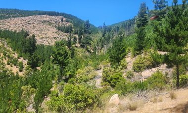Parcela con rol propio a 50 min de Cauquenes, El Maule