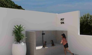 Departamentos en Venta Proyecto entrega Dic. 2026