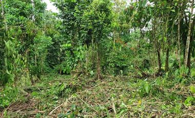 Terreno en Venta en Pedro Vicente Maldonado. Urb. Laureles 1 - Ecuador