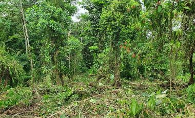 Terreno en Venta en Pedro Vicente Maldonado. Urb. Laureles 1 - Ecuador