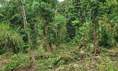 Terreno en Venta en Pedro Vicente Maldonado. Urb. Laureles 1 - Ecuador