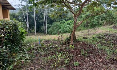 Terreno en Venta en Pedro Vicente Maldonado. Urb. Laureles 1 - Ecuador