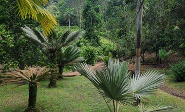 Finca en Venta en Puerto Quito - Ecuador