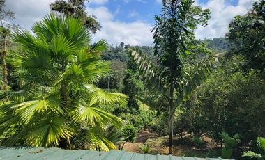 Finca en Venta en Puerto Quito - Ecuador