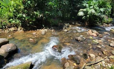 Finca en Venta en Puerto Quito - Ecuador