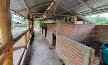 Finca en Venta en Puerto Quito - Ecuador