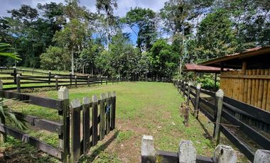 Finca en Venta en Puerto Quito - Ecuador