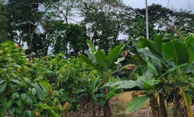 Finca en Venta en Puerto Quito - Ecuador