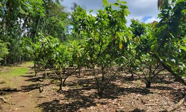 Finca en Venta en Puerto Quito - Ecuador