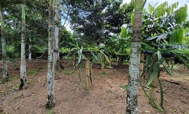 Finca en Venta en Puerto Quito - Ecuador